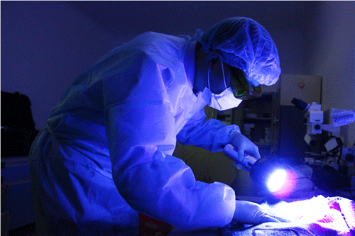 在“黑白”中寻找光明的“尸语者”