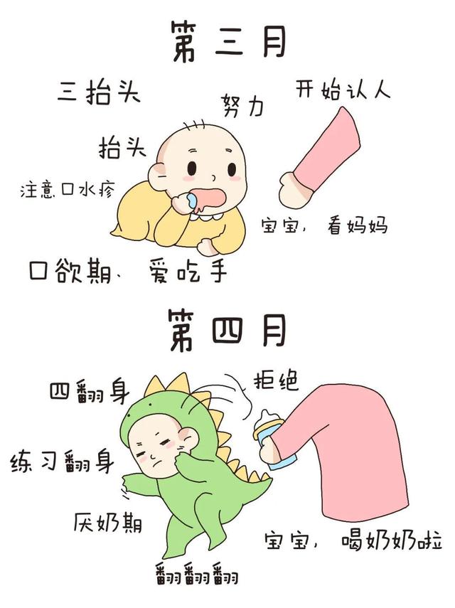 育儿指南：探索宝宝1-12月的成长奇迹，新手妈妈不可错过！