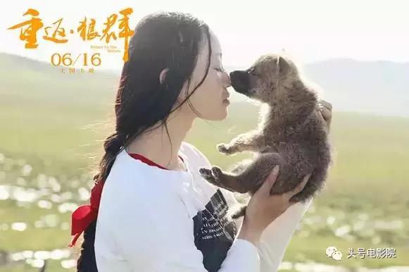 五星推荐这部国产纪录片：一个美女和一匹狼的真实故事