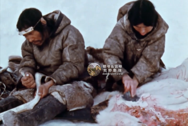 因纽特人一身皮草堪比世界各大奢侈品牌，他们怎么纯手工制作呢？