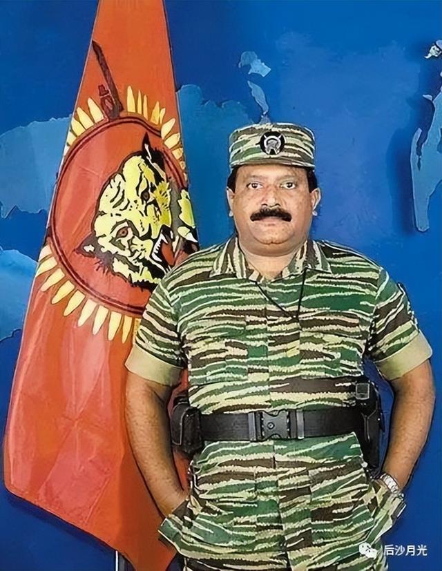 “猛虎组织”兴与亡！致命一击来自何方？（一）