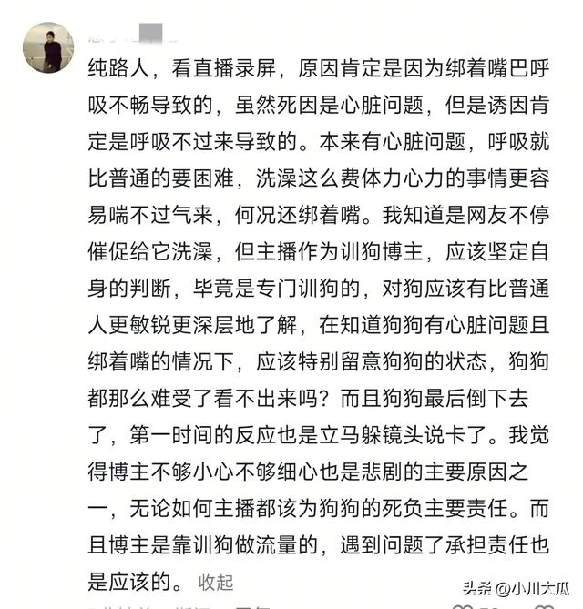 网红潘宏直播给狗洗澡，艾特挣脱扎带二次被绑最终去世！后续来了