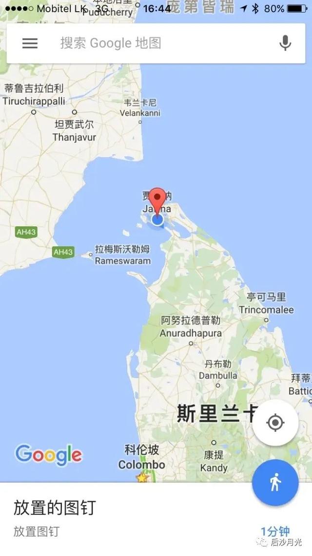 “猛虎组织”兴与亡！致命一击来自何方？（一）