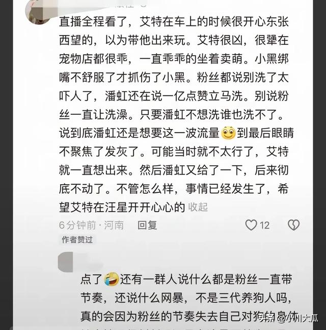 网红潘宏直播给狗洗澡，艾特挣脱扎带二次被绑最终去世！后续来了