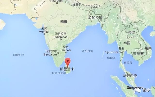 “猛虎组织”兴与亡！致命一击来自何方？（一）