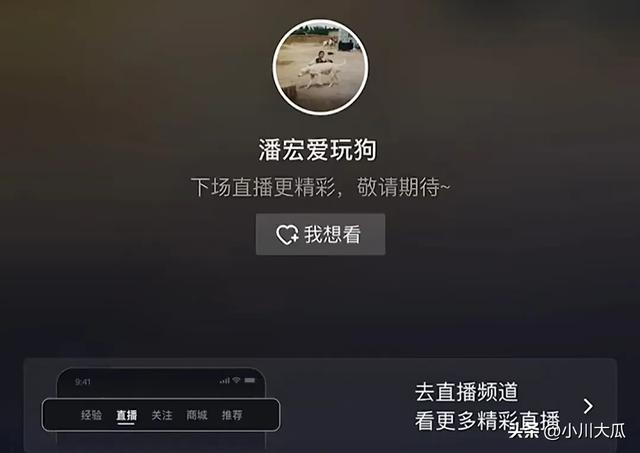 网红潘宏直播给狗洗澡，艾特挣脱扎带二次被绑最终去世！后续来了