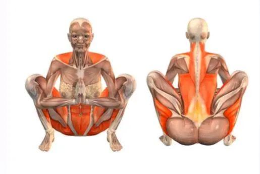 陈乔恩近况吓坏网友！体型干瘪没女人味，可明明又美又绝啊