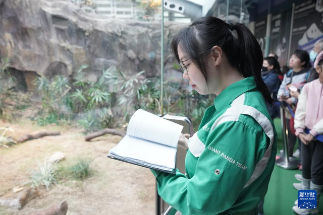 香港故事丨“熊抱”的幸福：大熊猫与香港的独家记忆
