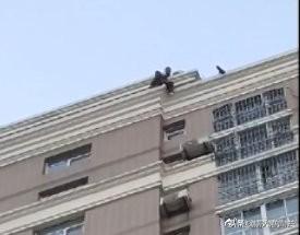 女主播整容失败欲轻生 被消防救下后再次选择跳楼身亡