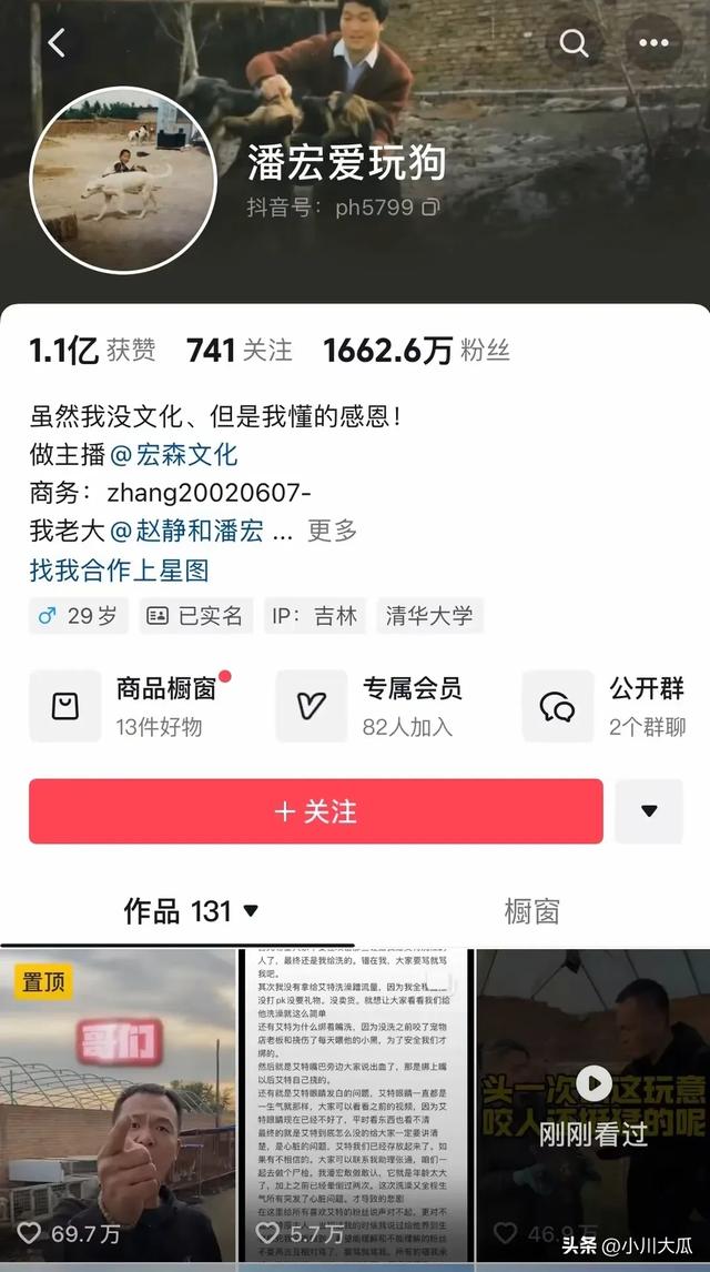 网红潘宏直播给狗洗澡，艾特挣脱扎带二次被绑最终去世！后续来了