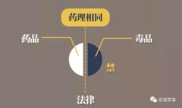 【清源断毒 净土西安】“尼”是谁？——芬太尼离毒品有多远？