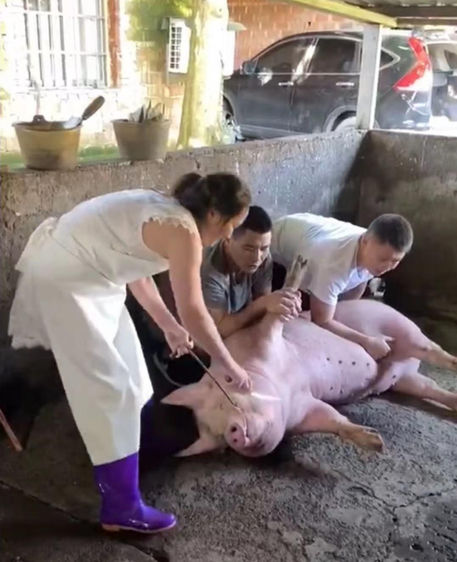 最美女屠夫“炫富”的背后:是农村人致富最真实的写照