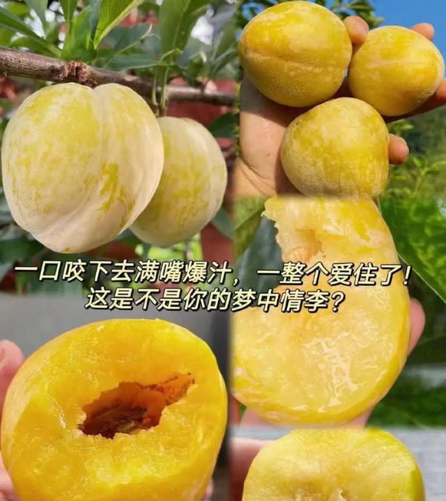 千万粉丝网红唐艺参加儿子初中毕业礼！泪流满面，将与郭有才同台