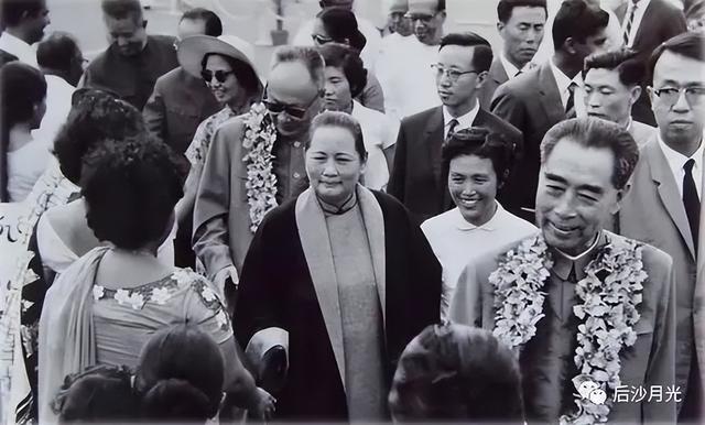 “猛虎组织”兴与亡！致命一击来自何方？（一）