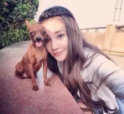 整容成瘾，变脸成习惯，可惜杨紫浪费一手好牌，毁了自己也要毁了