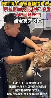 女主播被绑(网红潘宏直播给狗洗澡，艾特挣脱扎带二次被绑最终去世后续来了)