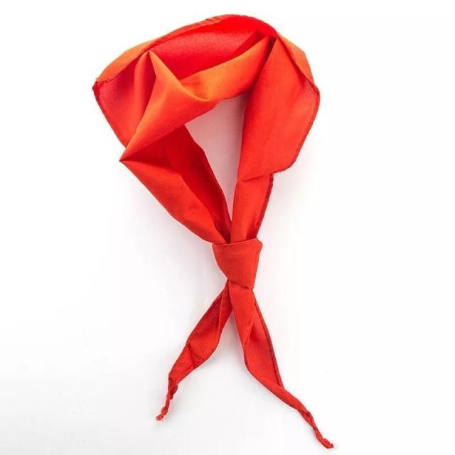 衣着暴露、还佩戴红领巾？！这位女主播已被拘留！