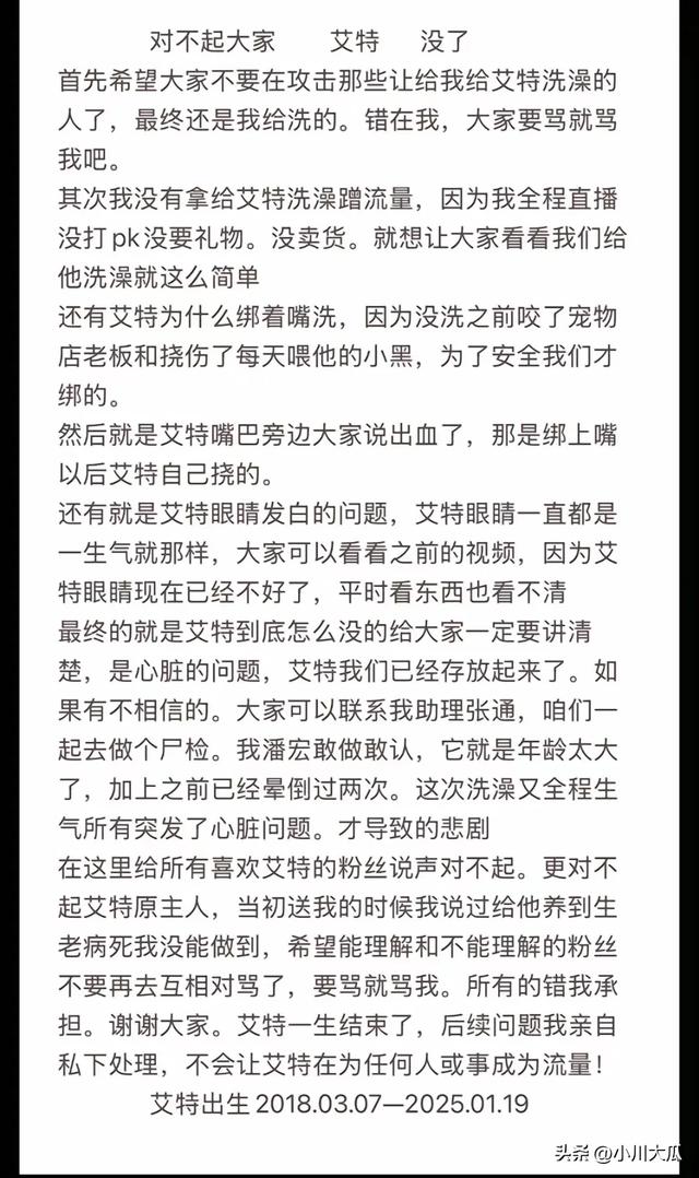 网红潘宏直播给狗洗澡，艾特挣脱扎带二次被绑最终去世！后续来了