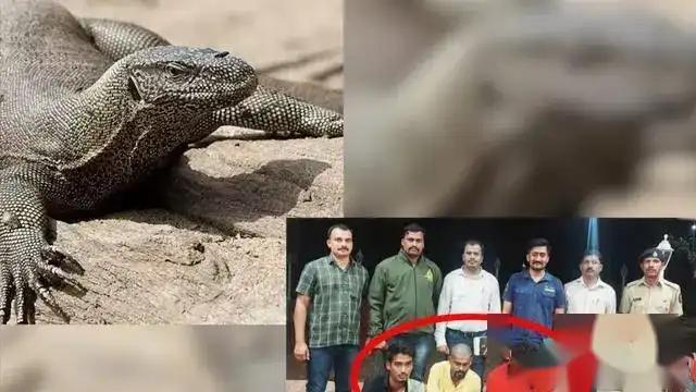 毁三观!韩国女主播到印度旅游被某男尾随露私处,评论区相当炸裂