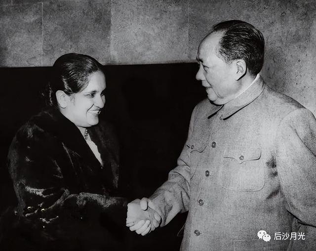 “猛虎组织”兴与亡！致命一击来自何方？（一）