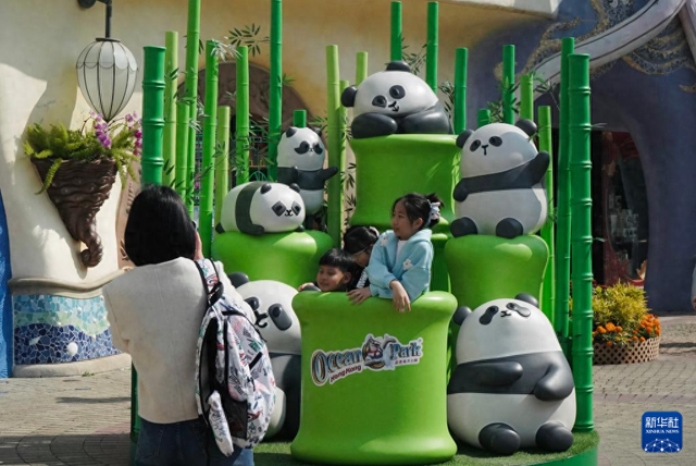 香港故事丨“熊抱”的幸福：大熊猫与香港的独家记忆