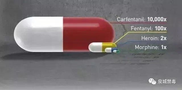 【清源断毒 净土西安】“尼”是谁？——芬太尼离毒品有多远？