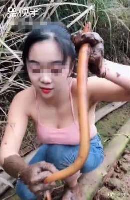 女主播用泥鳅(衣着暴露、还佩戴红领巾？这位女主播已被拘留)