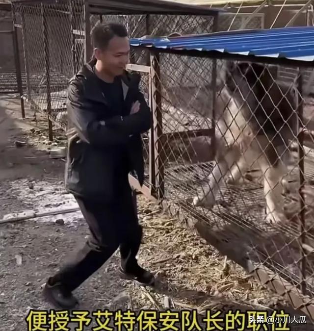 网红潘宏直播给狗洗澡，艾特挣脱扎带二次被绑最终去世！后续来了