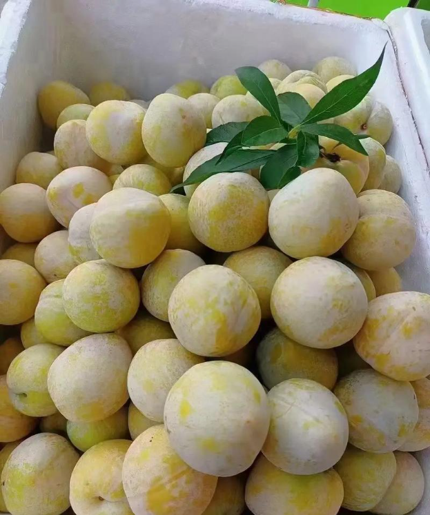 千万粉丝网红唐艺参加儿子初中毕业礼！泪流满面，将与郭有才同台