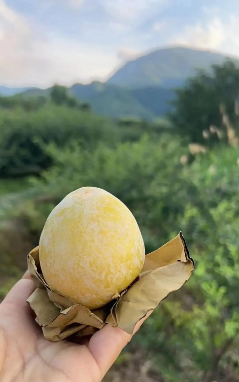 千万粉丝网红唐艺参加儿子初中毕业礼！泪流满面，将与郭有才同台