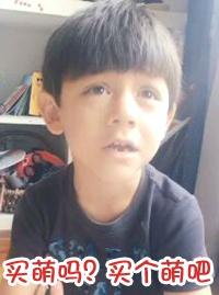 刘烨携诺一霓娜直播破纪录，最Q的是，小诺成功进军表情包界