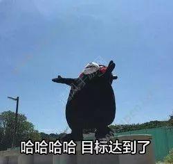 衣着暴露、还佩戴红领巾？！这位女主播已被拘留！