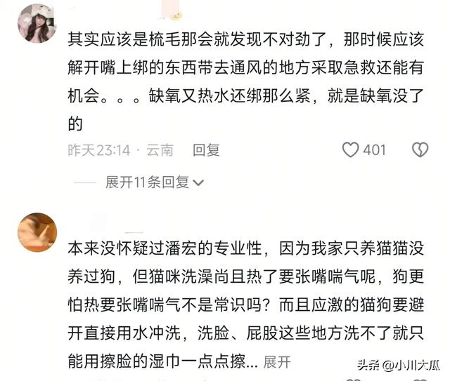 网红潘宏直播给狗洗澡，艾特挣脱扎带二次被绑最终去世！后续来了