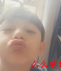 刘烨携诺一霓娜直播破纪录，最Q的是，小诺成功进军表情包界