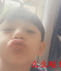 女主播小诺主播过什么(刘烨携诺一霓娜直播破纪录，最Q的是，小诺成功进军表情包界)