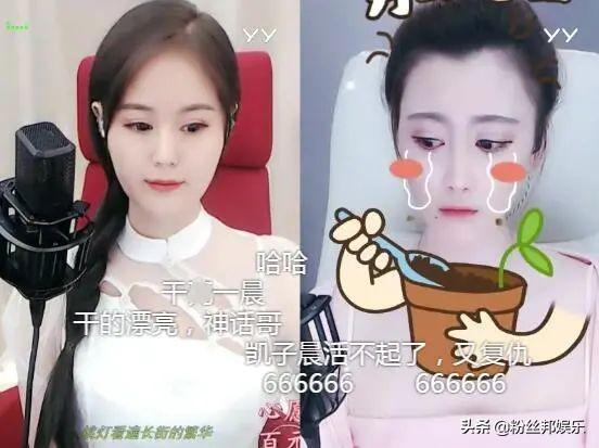 文徒童筱七连胜晨哥，文儿晒600万后台，嘲讽刷不起“紫光”