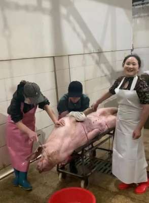 炫富女主播骂农民视频(最美女屠夫“炫富”的背后：是农村人致富最真实的写照)