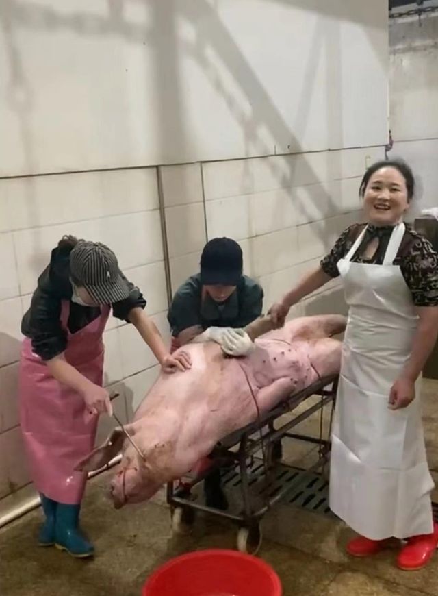 最美女屠夫“炫富”的背后:是农村人致富最真实的写照