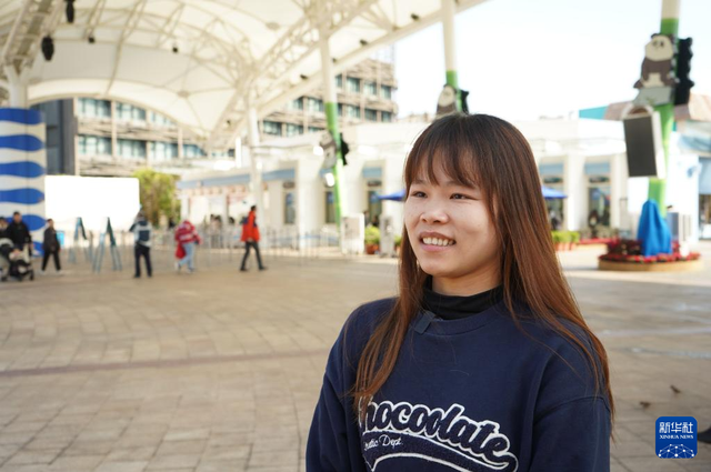 香港故事丨“熊抱”的幸福：大熊猫与香港的独家记忆