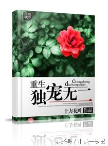 谁说一入豪门深似海——我们单纯只是豪门宠文