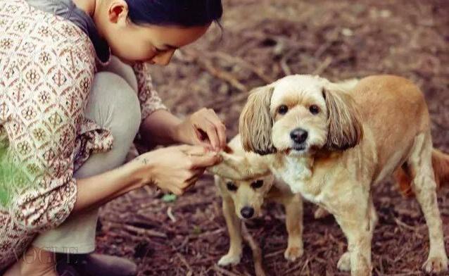女明星突然宣布隐退：她因宗教得到救赎而出家，性感歌手变农妇