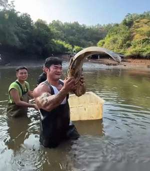 女主播周媛媛视频(李维刚首次回应抢鱼事件：我请村里人吃鱼，村里人请我吃官司)