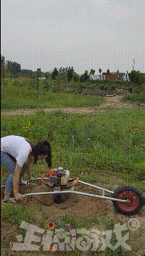 正惊GIF：有善口技者！美女肺活量惊人，一口气将鸡蛋从壳里吹出？