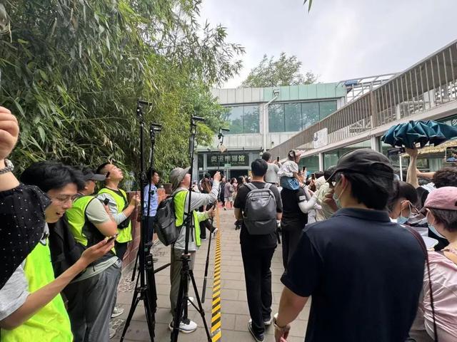 要备案，有专区！在北京动物园直播“顶流”熊猫有规矩，违规三次就禁播