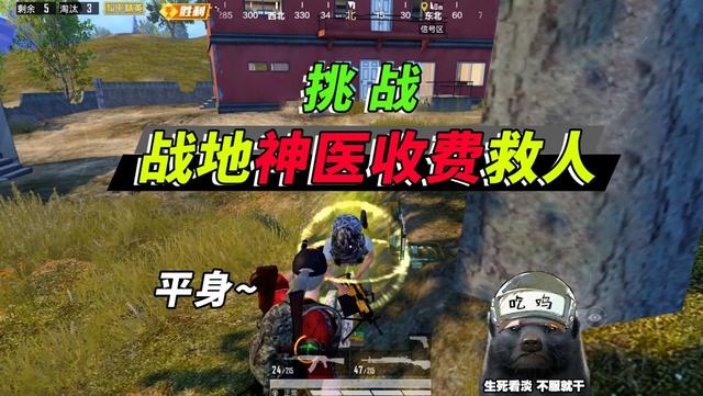 和平精英：蜜罐首次露脸直播，当起了战地医生，救死扶伤