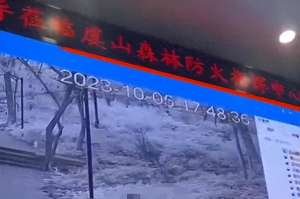 网络女主播打野战视频(前有两干部直播，后有户外男女野战，还带实时解说的，音画同步)