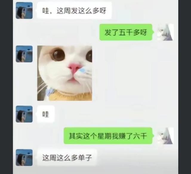 女同性恋？21岁游戏主播胖猫2年内转女方51万，被分手后绝望跳江