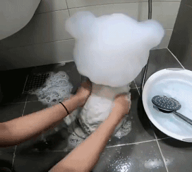 “弟弟的女同学才初一，都这么早熟了吗？”哈哈哈