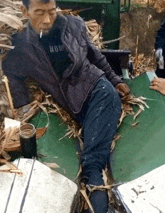 如何评价这个女主持人，主持了一半把丝袜脱了？