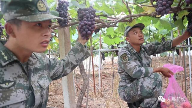 「关注」大开眼界！野外驻训的兵哥哥原来这么会玩